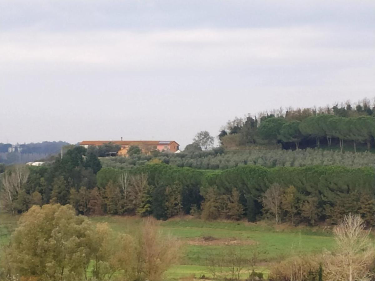 L'isola