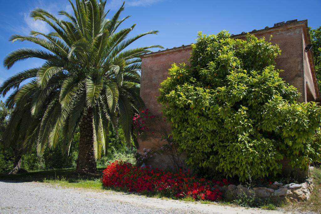 L'isola * Crespina