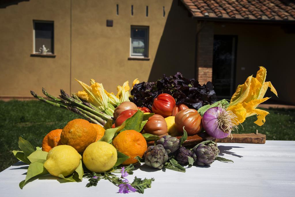 Farm stay L'isola *