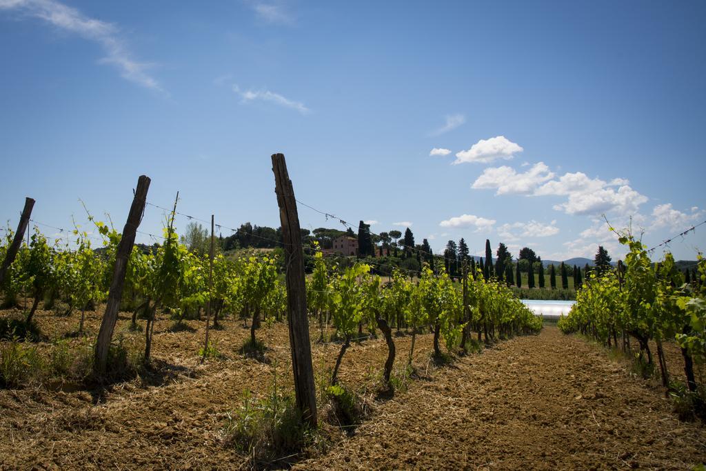 Farm stay L'isola Crespina