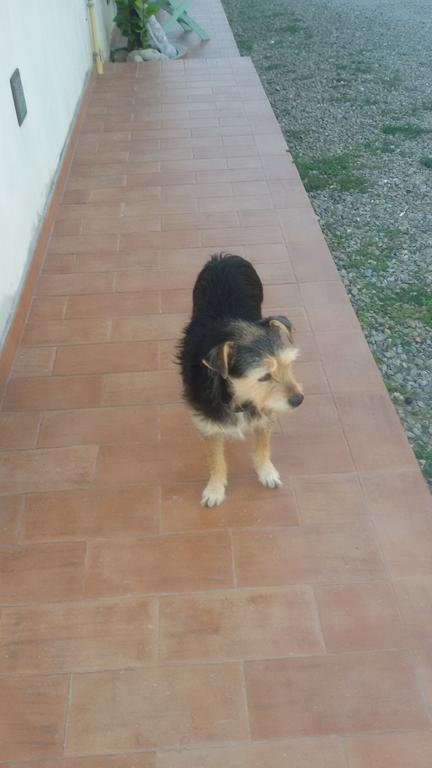L'isola Farm stay